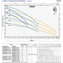 PEDROLLO Pompe de surface Plurijet